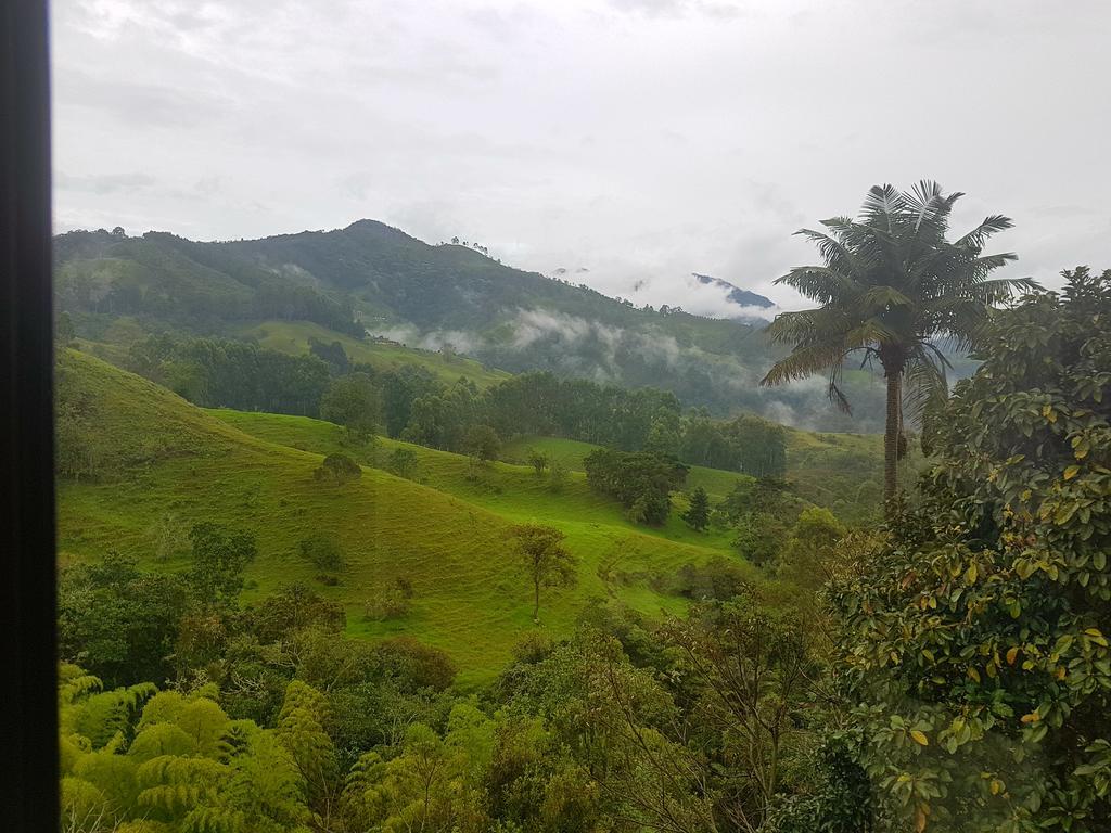 Mirador De Los Cedros سالنتو المظهر الخارجي الصورة