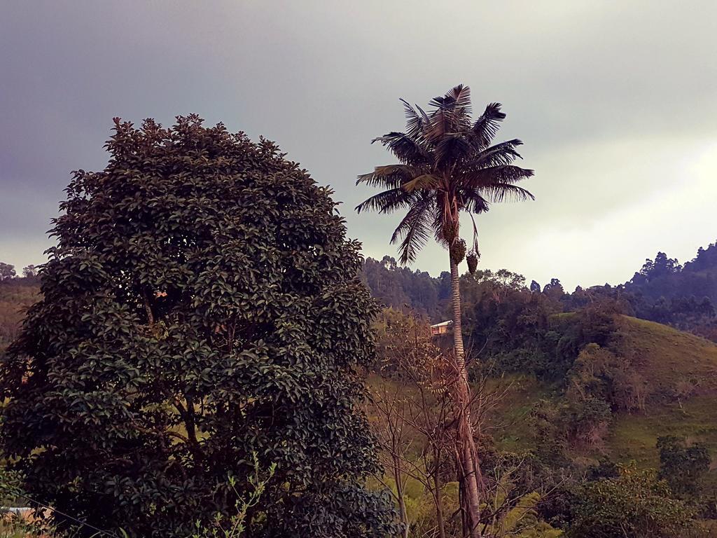 Mirador De Los Cedros سالنتو المظهر الخارجي الصورة